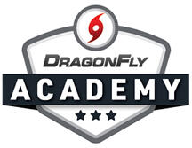Dragonfly Academy logo